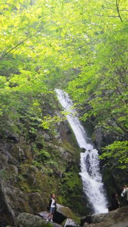 DSC04423.JPG