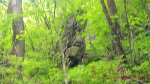 DSC04426.JPG