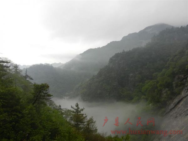 67.jpg