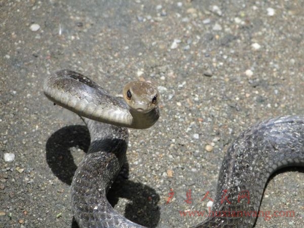 nEO_IMG_DSC07847.jpg