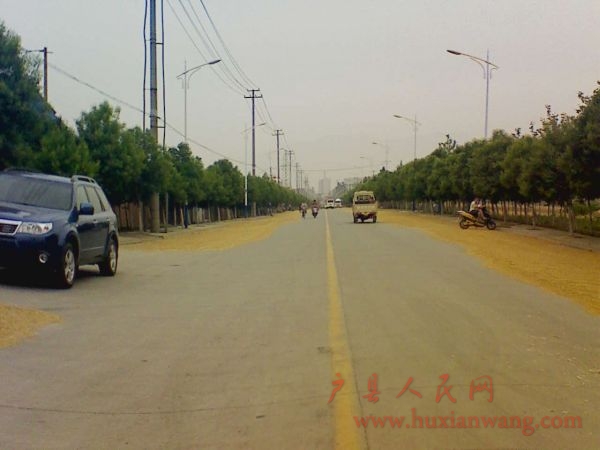 Ƭ 007.jpg