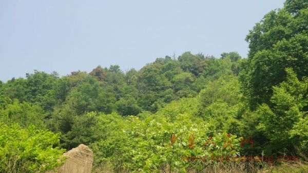 DSC04463.JPG