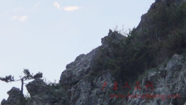 DSC04561.JPG