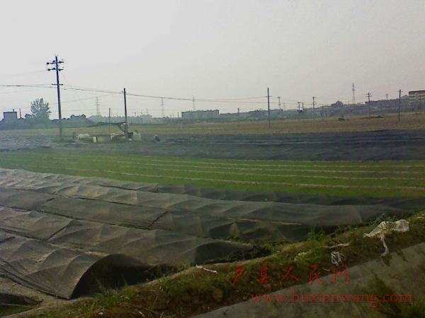 Ƭ 017.jpg