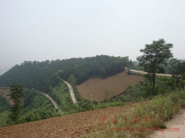 DSC05952.jpg