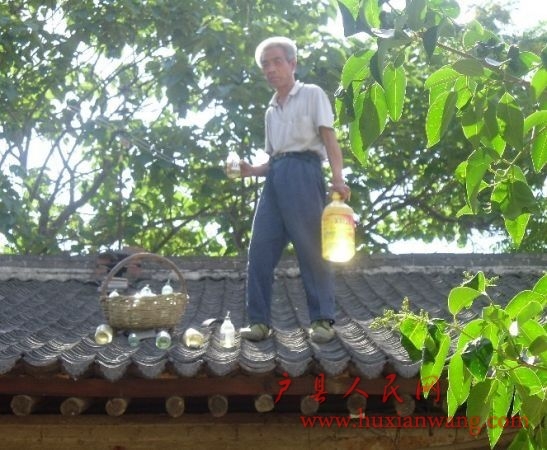Ǩ.jpg