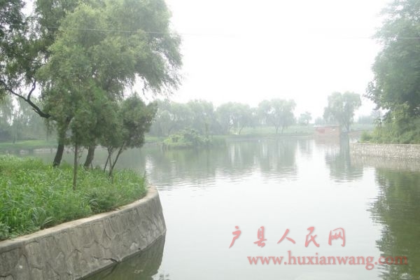 nEO_IMG_DSC08141.jpg