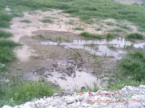IMG06251639aa.jpg