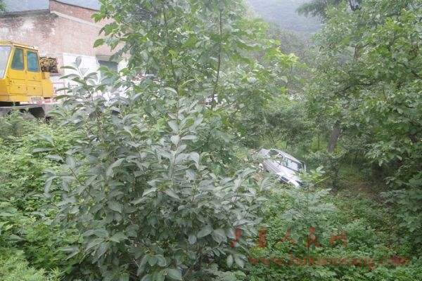 nEO_IMG_DSC08178.jpg
