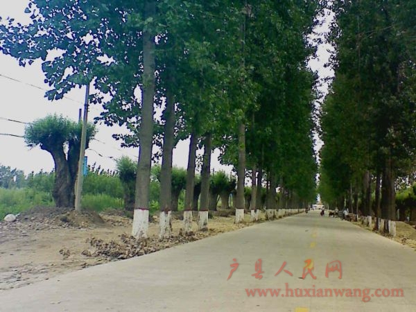 Ƭ 019.jpg