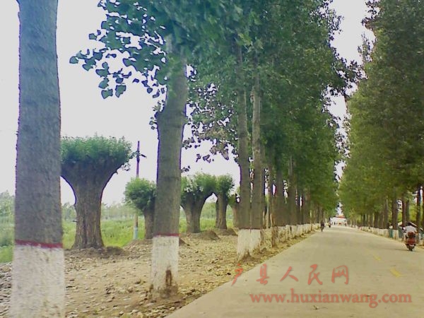 Ƭ 020.jpg