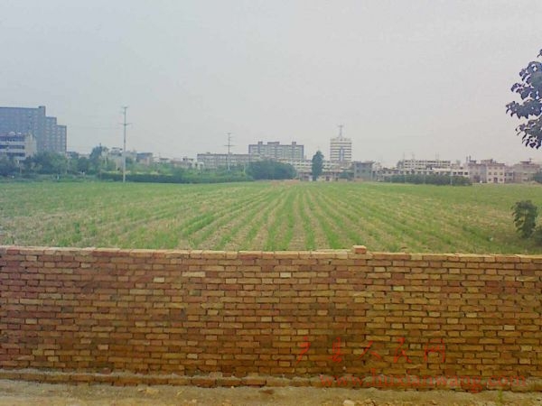 Ƭ 047.jpg