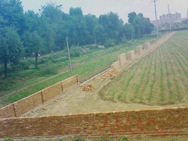 Ƭ 049.jpg