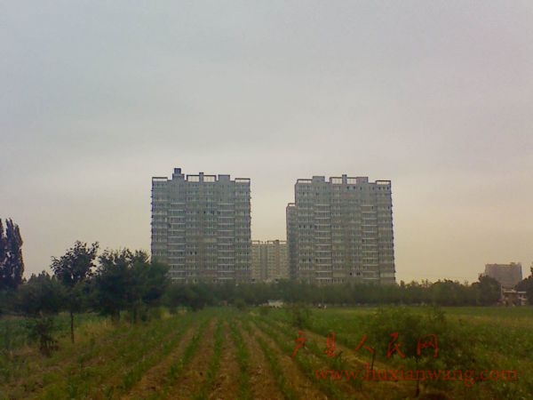 Ƭ 031.jpg