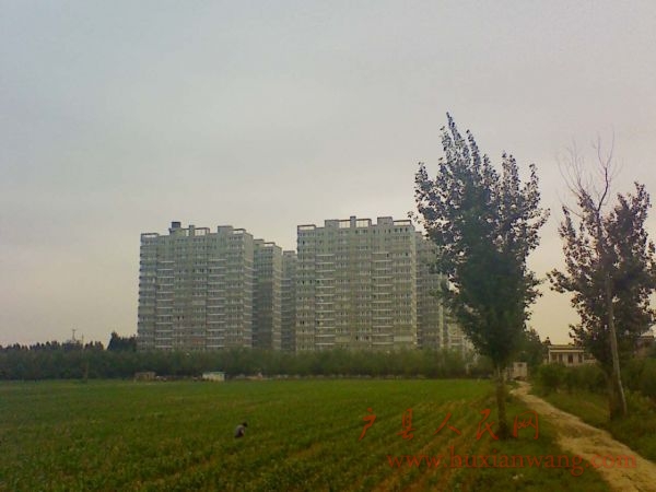 Ƭ 035.jpg