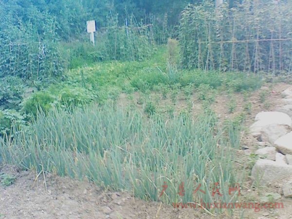 Ƭ 051.jpg