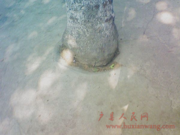 Ƭ 010.jpg