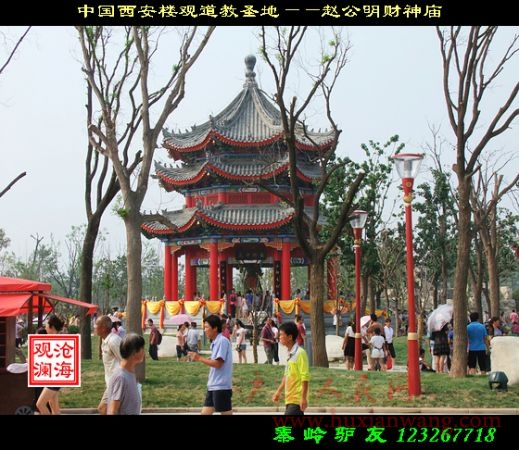 DSCF1227.jpg