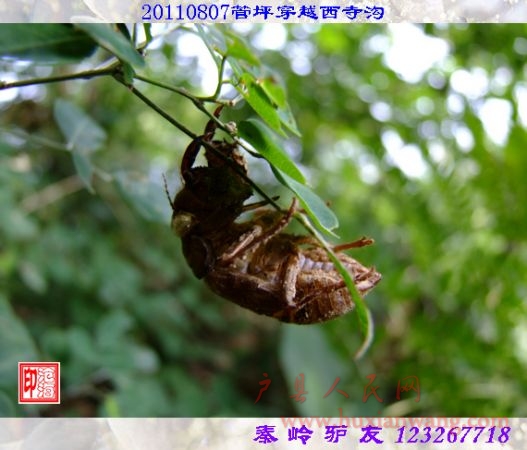 DSCF0108.jpg