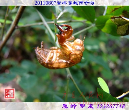 DSCF0112.jpg