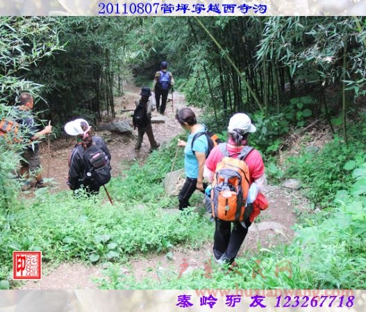 DSCF0132.jpg