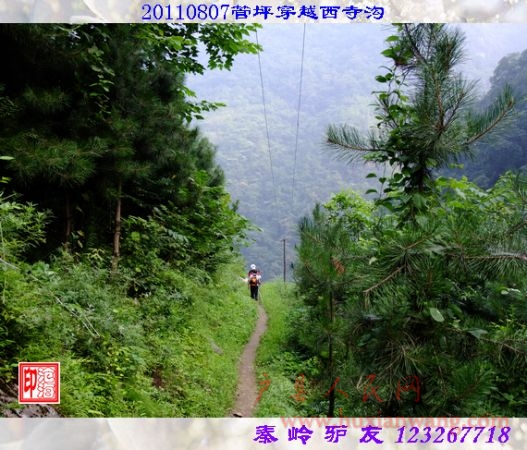 DSCF0137.jpg