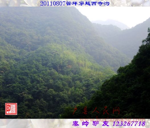 DSCF0140.jpg