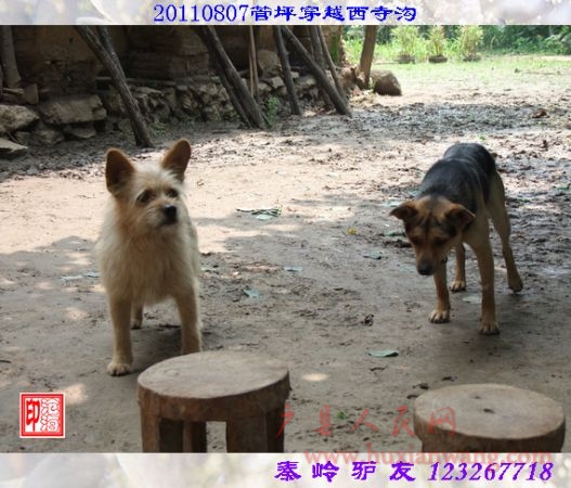 DSCF0080.jpg