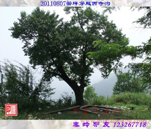 DSCF0091.jpg
