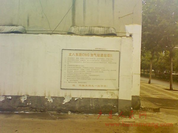 Ƭ 061.jpg