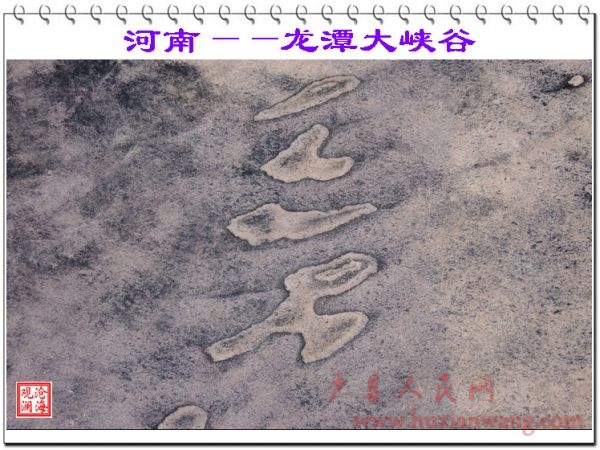 DSCF1123.jpg