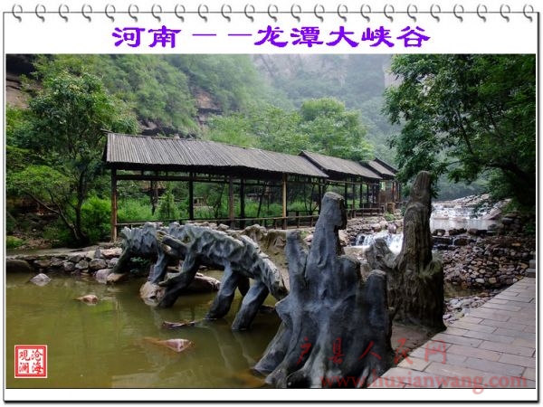 DSCF1126.jpg