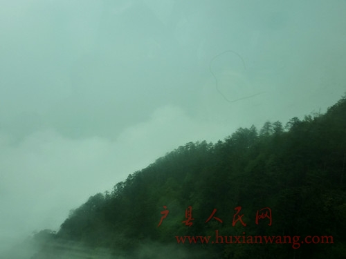 P1050947_.jpg