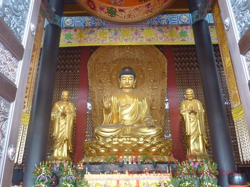 P1050731_.jpg