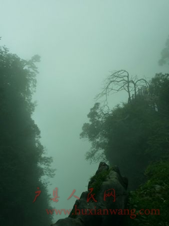 P1050833_.jpg
