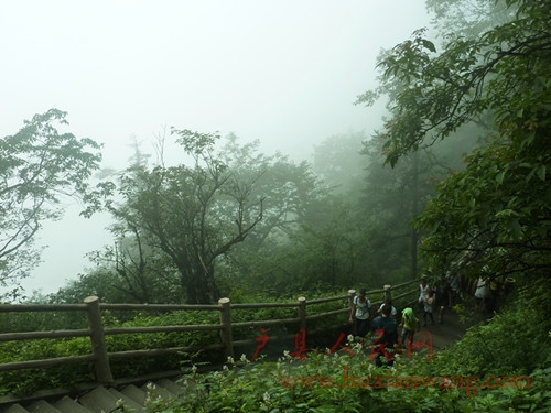 P1050848_.jpg