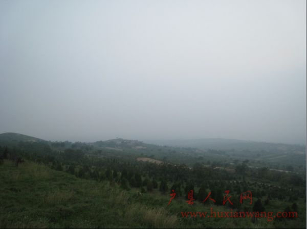 55.jpg