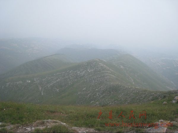 78.jpg