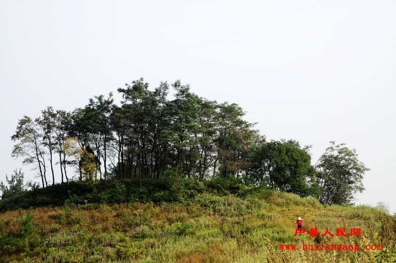 Ƭ 012.jpg