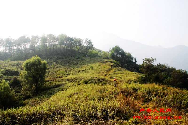 Ƭ 009.jpg