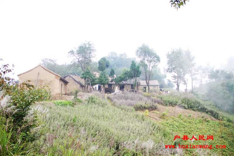Ƭ 050.jpg