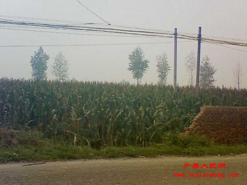 201109251245121.jpg