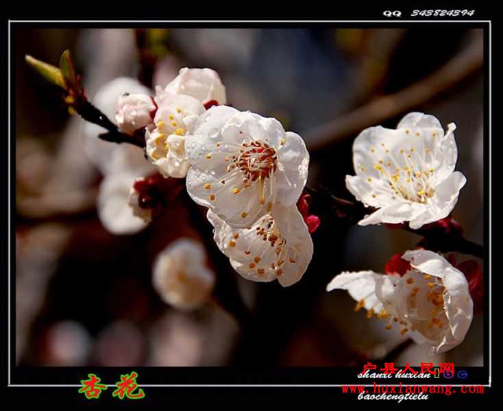 ӻ (1).jpg