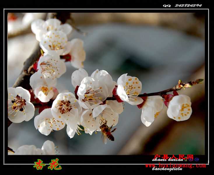 ӻ (3).jpg