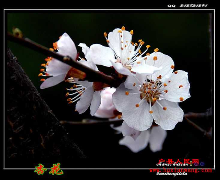 ӻ (9).jpg