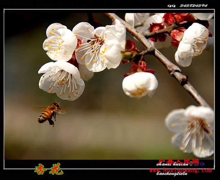 ӻ (20).jpg