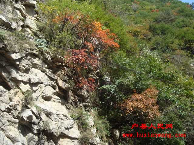 DSC06608.jpg
