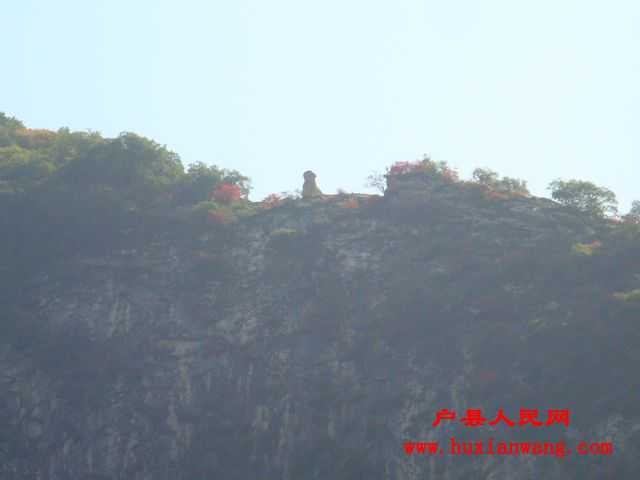DSC06610.jpg