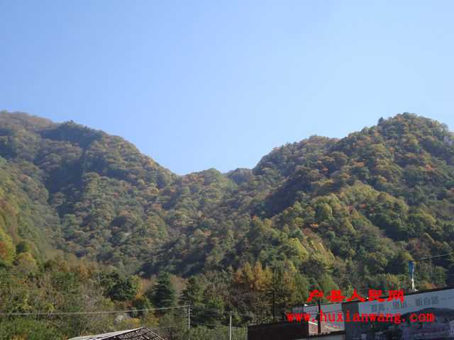DSC06631.jpg