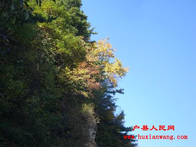 DSC06644.jpg